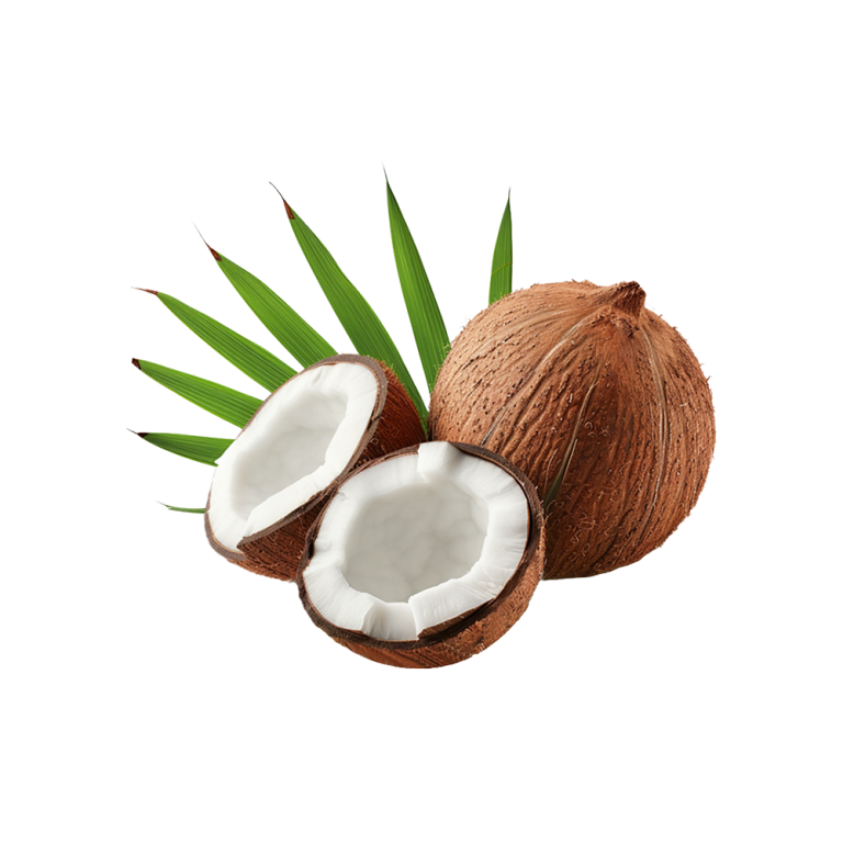 Lait de coco en poudre
