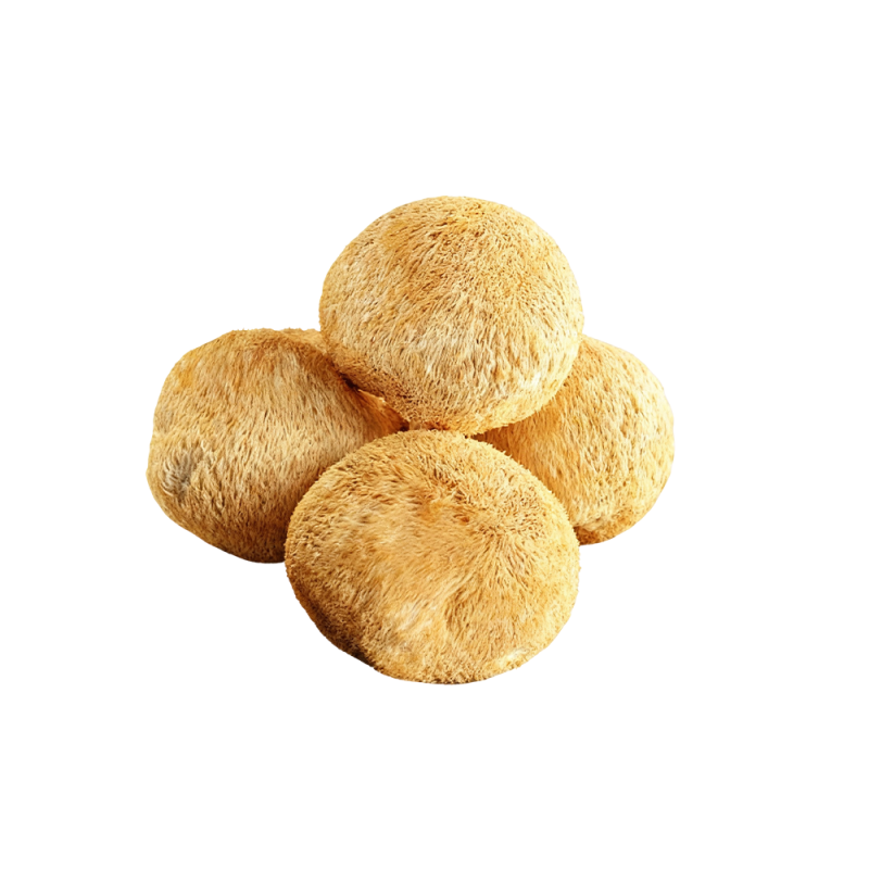 Poudre d'extrait de champignon « crinière de lion »