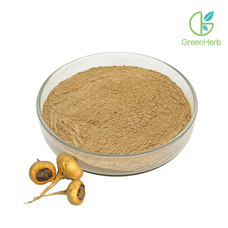 Poudre d'extrait de maca