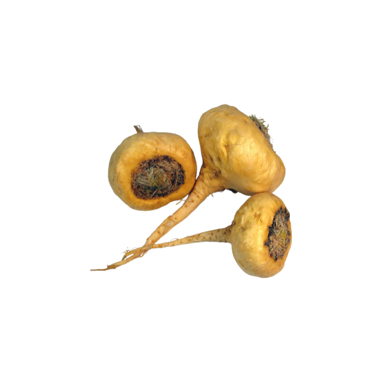 Poudre d'extrait de maca