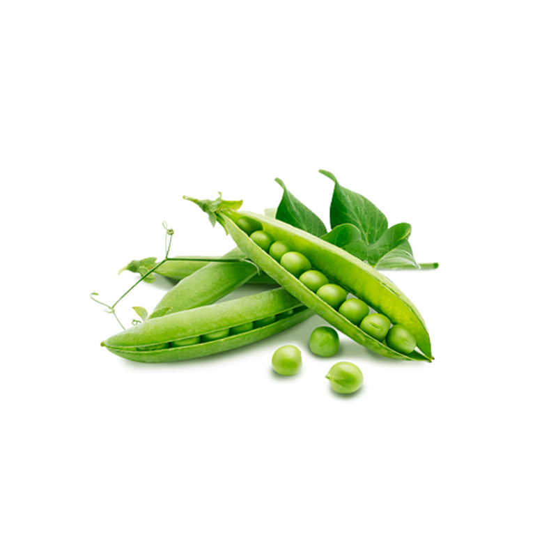 Poudre de protéines de pois 85%
