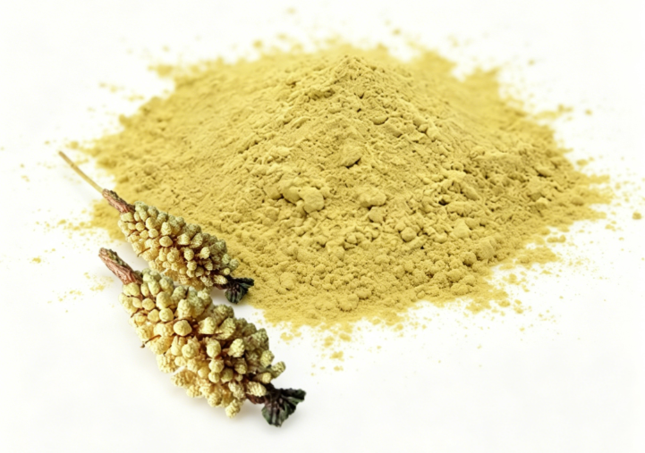 Poudre de pollen de pin à paroi cellulaire brisée
