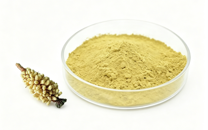 Poudre de pollen de pin à paroi cellulaire brisée
