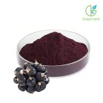 Gros plan sur la texture de la poudre de baies de goji noires