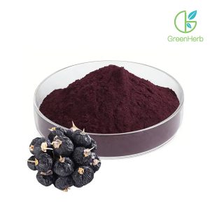 Gros plan sur la texture de la poudre de baies de goji noires