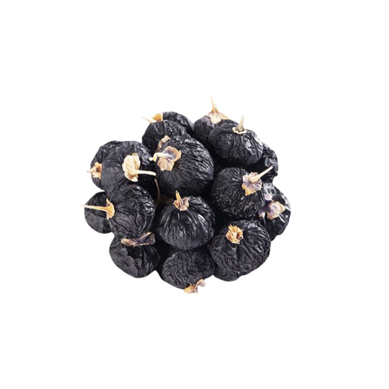 Macrophotographie d'une baie de goji noire fraîche (Lycium ruthenicum)