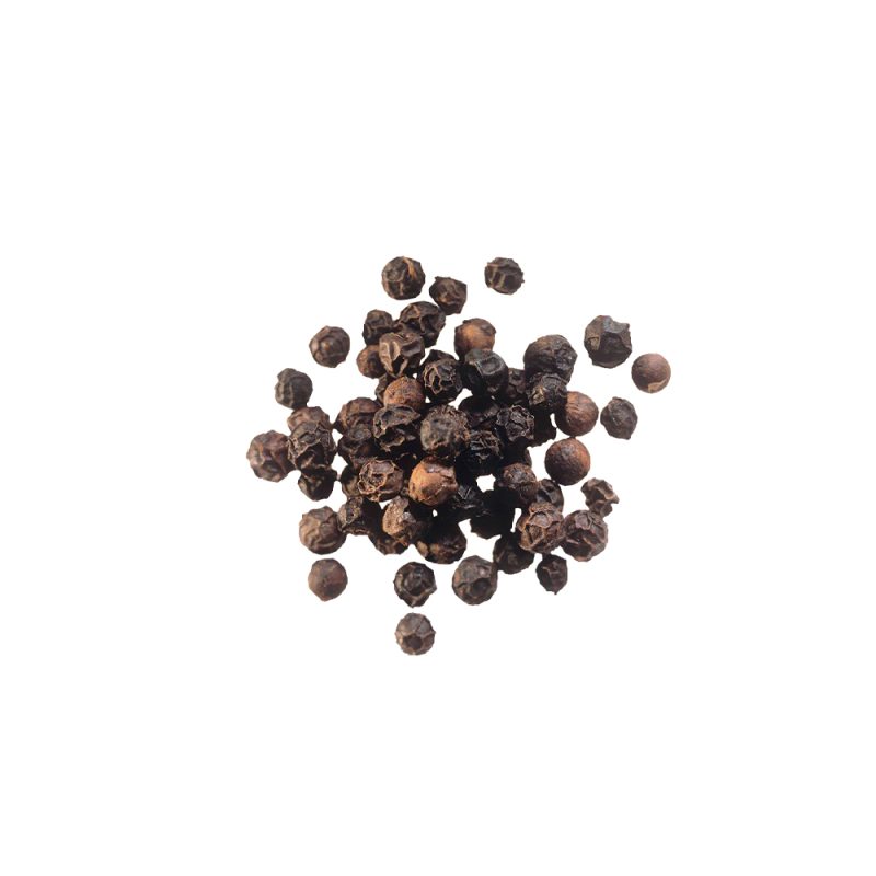 Macrophotographie d'une drupe de poivre noir (Piper nigrum) séchée