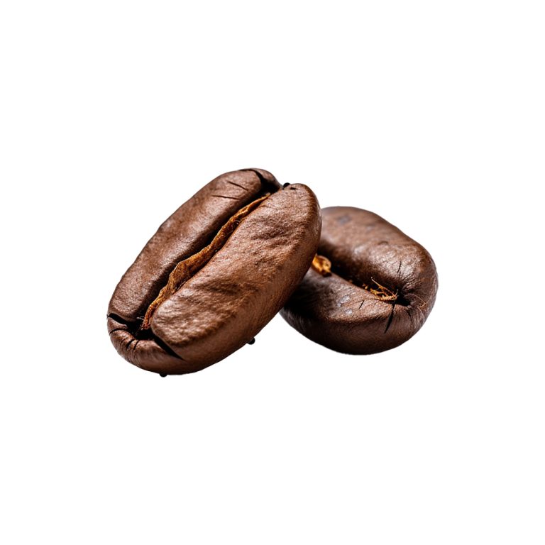 Macrophotographie de morceaux de graines fermentées de Theobroma cacao