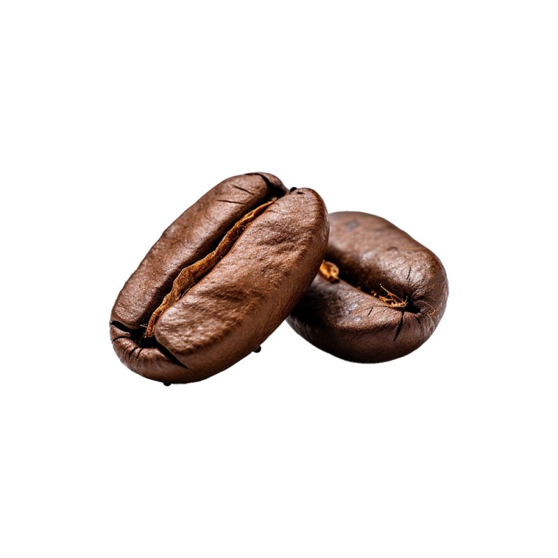 Macrophotographie de morceaux de graines fermentées de Theobroma cacao