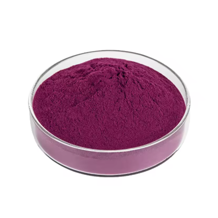 Bulk Cranberry Juice Powder packaged in fiber drums