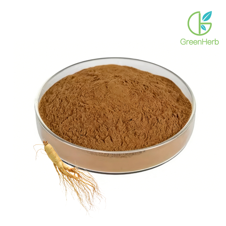 Gros plan sur la matière première : poudre de ginseng