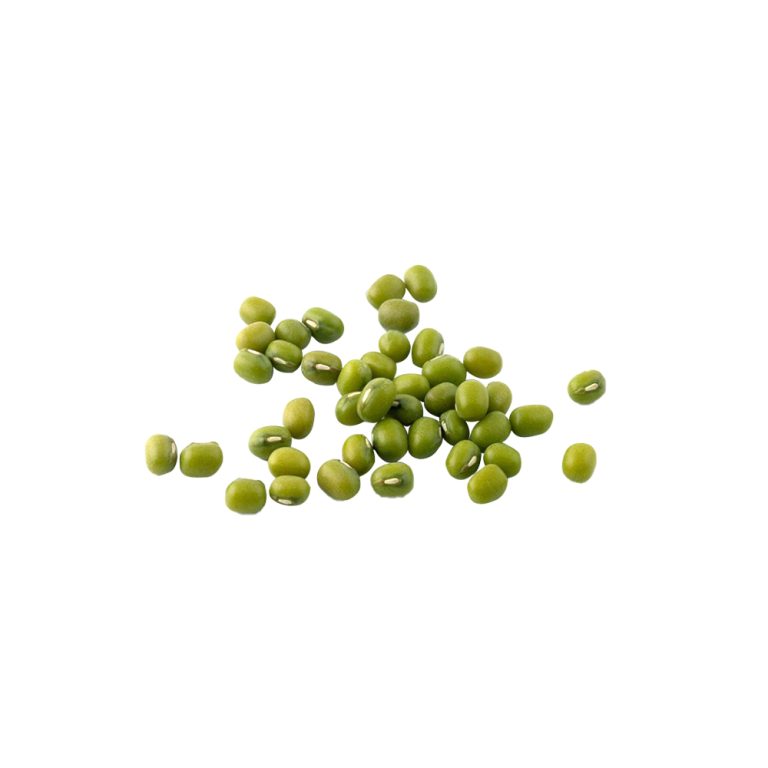 Macrophotographie de graines de haricots mungo verts (Vigna radiata)