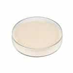 Light cream Oat Protein Powder fine particle detail