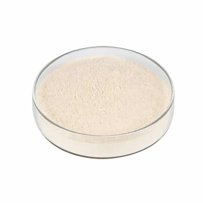 Light cream Oat Protein Powder fine particle detail