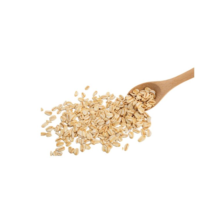 Macrophotographie d'un grain d'avoine (Avena sativa)