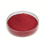 Deep orange Annatto Seed Powder fine particle detail