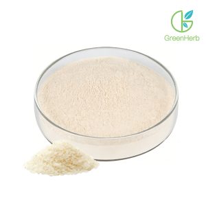 Gros plan sur la texture de la poudre de protéines de riz