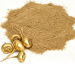 crème à base d'extrait de maca en poudre, de couleur jaune-brun, gros plan