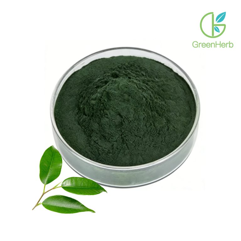 Gros plan sur la texture de la poudre de chlorophylline de cuivre et de sodium