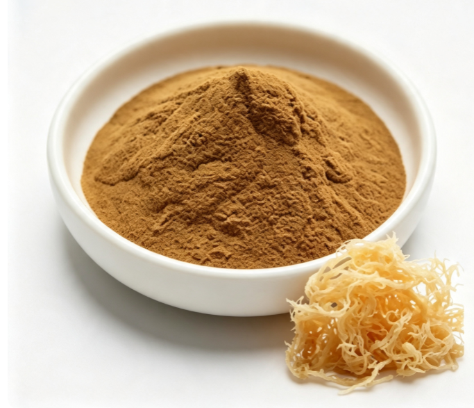 Off-white Irish Sea Moss Extract fine powder detail