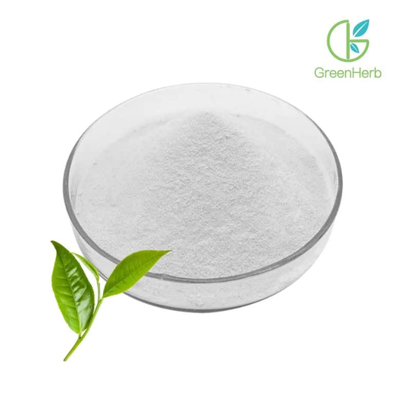 Green Tea Extract L-Theanine close-up texture detail