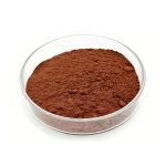 Brown Hawthorn Berry Extract fine powder detail