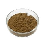 Yellow Horny Goat Weed Extract fine powder detail