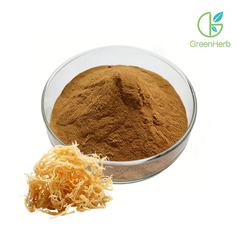 Irish Sea Moss Extract close-up texture detail