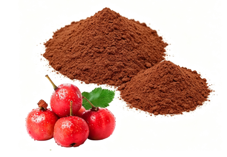 Brown Hawthorn Berry Extract fine powder detail