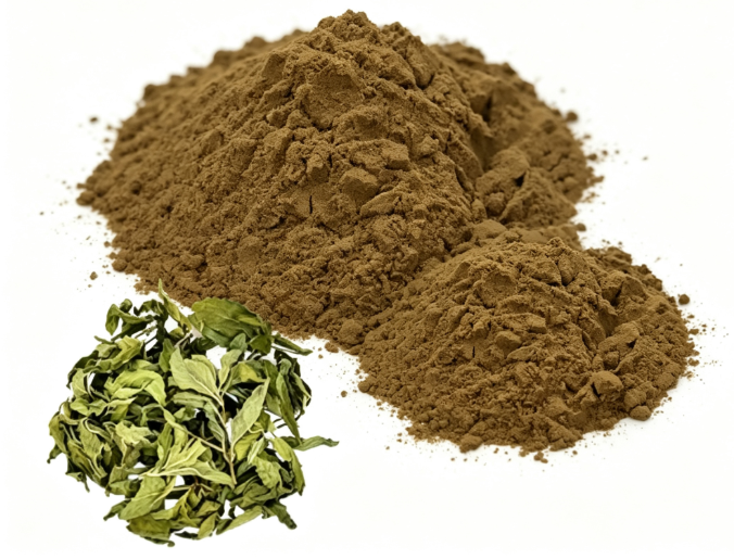 Yellow Horny Goat Weed Extract fine powder detail 